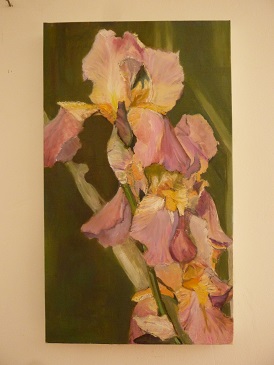 Iris rose - Huile Vendue