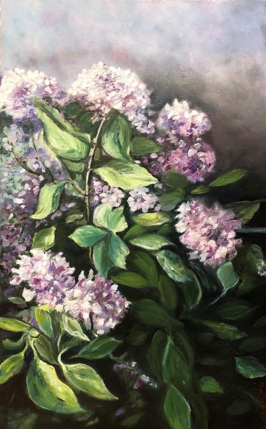 Hortensias huile