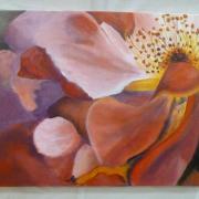 coeur d 'eglantine huile vendue