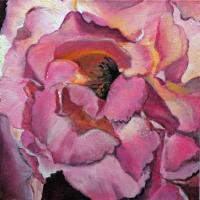 Coeur de rose  - Huile - 30cm x 30cm - CP