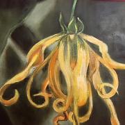 Fleur d Ylang Ylang Vendue HUILE 29/22