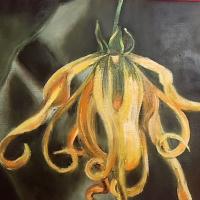 Fleur d Ylang Ylang Vendue HUILE 29/22