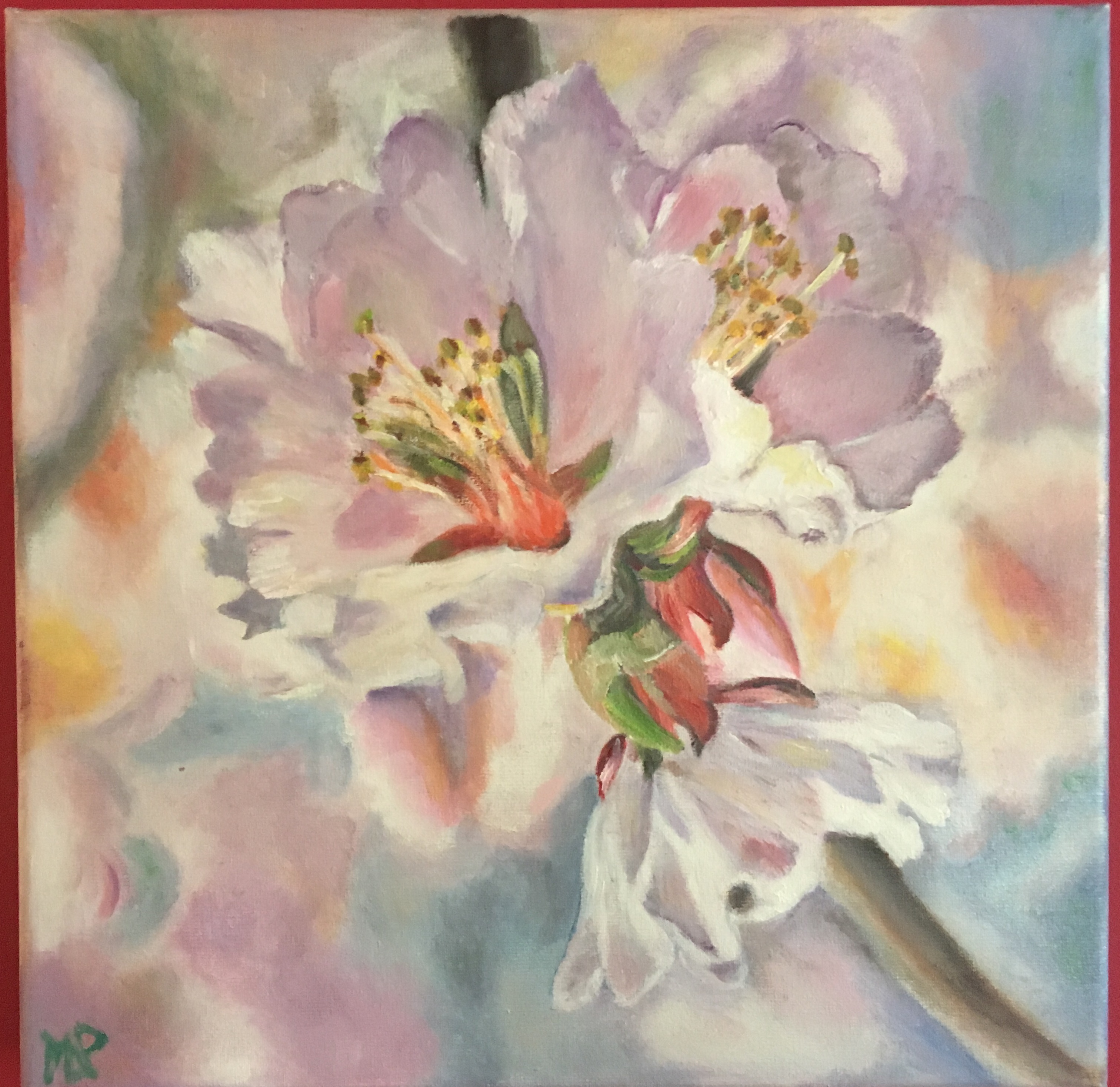 Fleurs d amandier HUILE 30*30 VENDUE