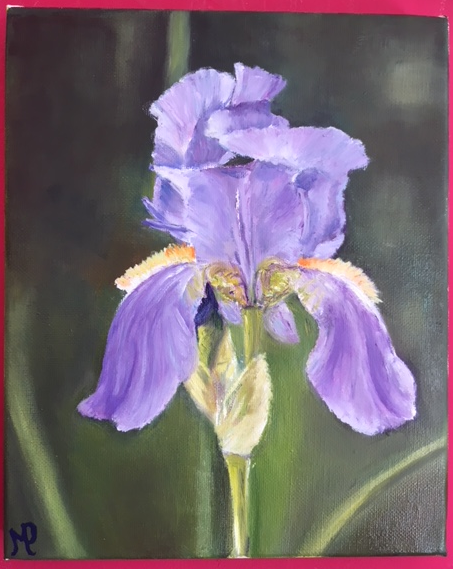 IRIS HUILE 27*22 Vendue
