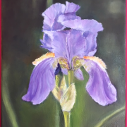IRIS HUILE 27*22 Vendue