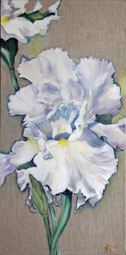 Iris blanc - Huile - 60cm x 30 cm