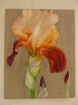 Iris et boutons - Huile