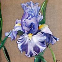 IRIS MAUVE - Huile - Vendu