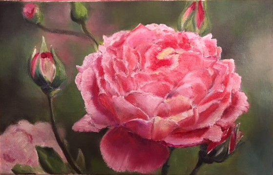 LA ROSE ET SES BOUTONS Vendue HUILE 22*14