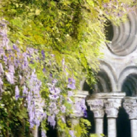 Cloitre Glycine - Huile - 2013 vendue