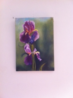 IRIS MAUVES - Huile