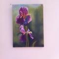 IRIS MAUVES - Huile