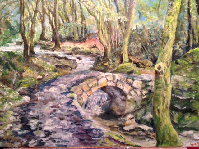 Sous bois aux abords de Saint Paul de Vence