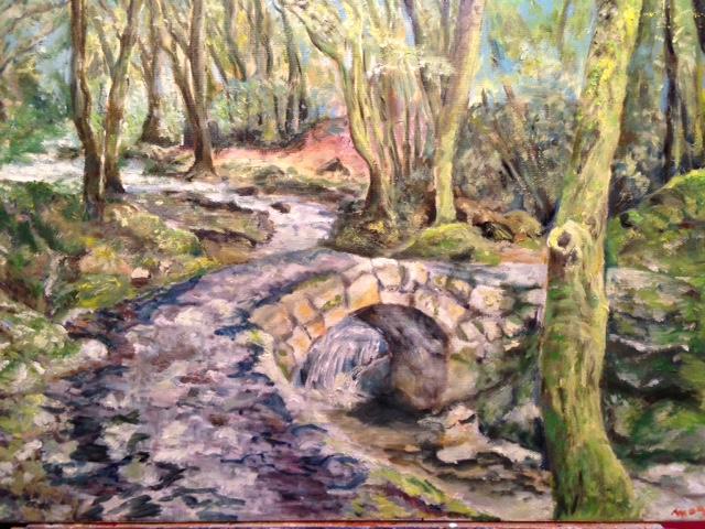 Sous bois aux abords de saint paul de vence